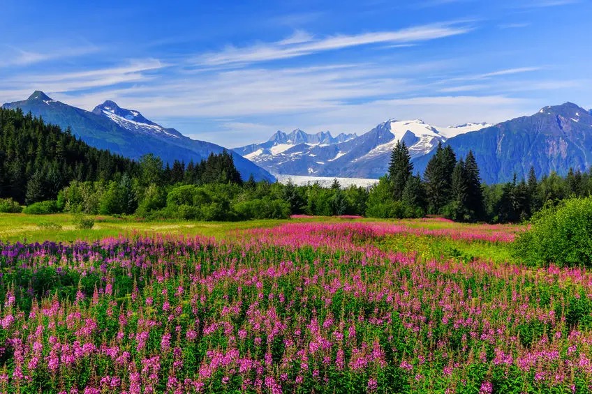All Inclusive Alaskan Adventure